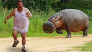 Funniest Animals Scaring People Reactions of 2019 Weekly Compilation 🐢🐪🐏🐍 Funny Pet Videos